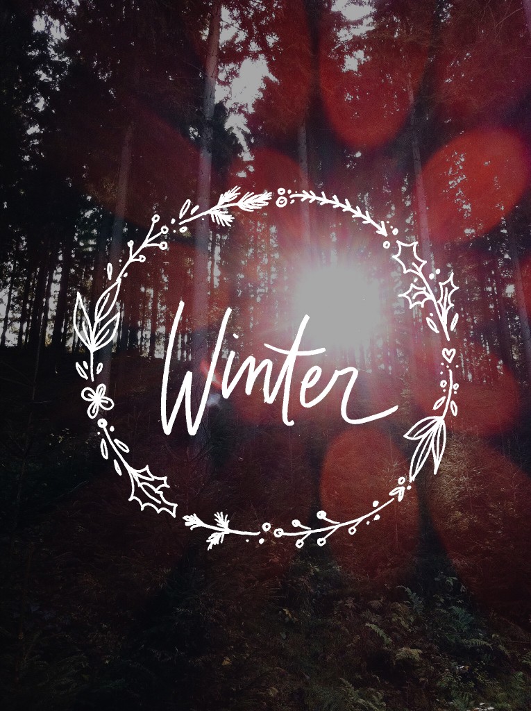winter-solstice-orla-collective
